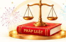 Quy định pháp luật pháo hoa Z121